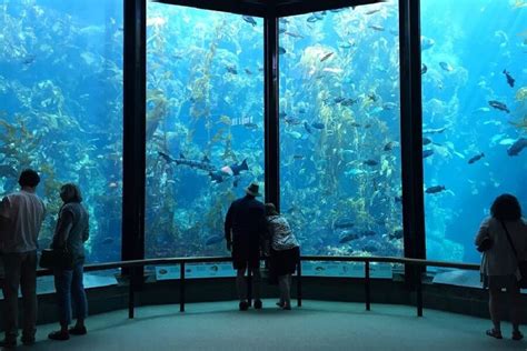 groupon monterey|Groupon family offer for Monterey Bay Aquarium tickets .